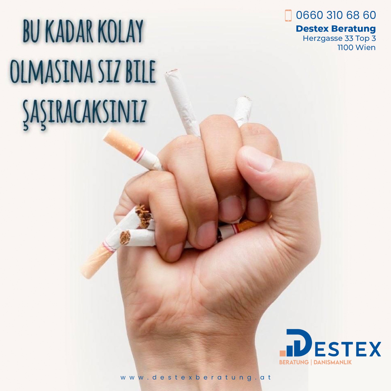 footer-widget-gallery